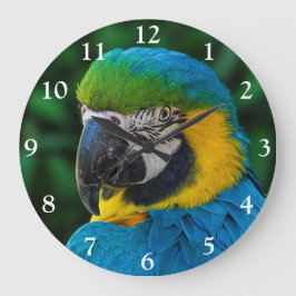 Reloj Redondo Grande Blue and Gold Macaw Parrot