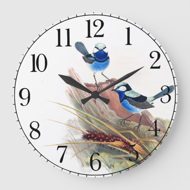 Reloj Redondo Grande Blue Wren Birds Wildlife Animals Wall Clock (Anverso)