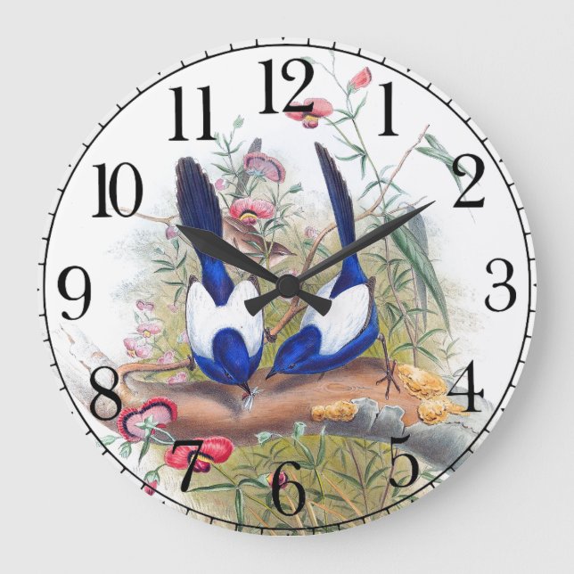 Reloj Redondo Grande Blue Wren Birds Wildlife Animals Wall Clock (Anverso)