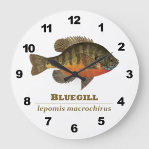 Reloj Redondo Grande Bluegill Fishing