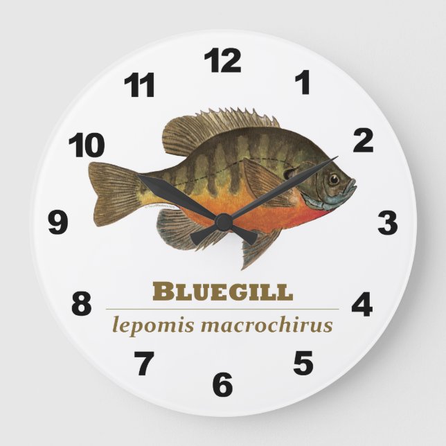 Reloj Redondo Grande Bluegill Fishing (Anverso)
