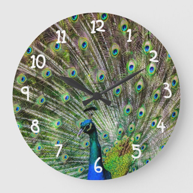 Reloj Redondo Grande Bonito Peacock (Anverso)