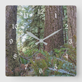 Reloj Redondo Grande Bosque de coníferas de abeto de Douglas