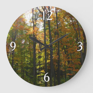Reloj Redondo Grande Bosque de Otoño Iluminado por el Sol