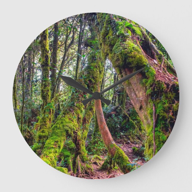Reloj Redondo Grande Bosque Musgoso (Anverso)