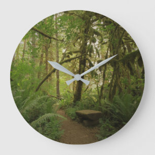 Reloj Redondo Grande Bosque pacífico en el Parque Nacional Cascades del