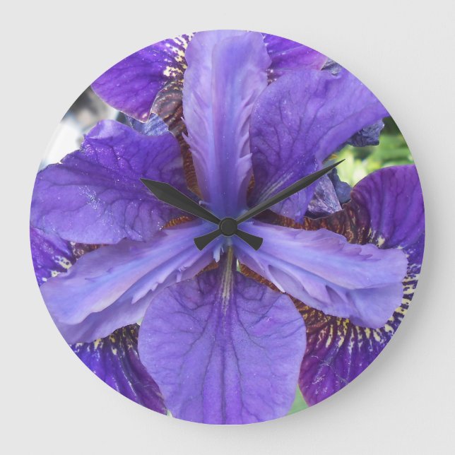 Reloj Redondo Grande Brandeis (Anverso)