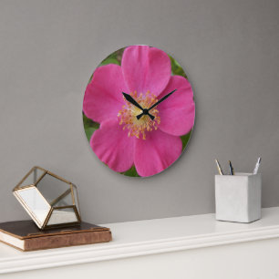 Reloj Redondo Grande Brillante pared rosa rosa rosa