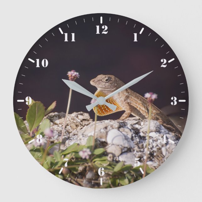 Reloj Redondo Grande Brown anole displaying dewlap (Anverso)