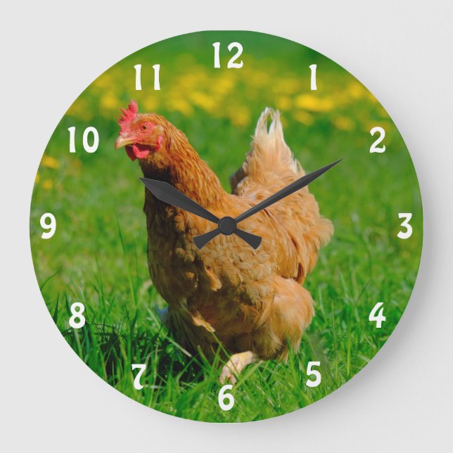 Reloj Redondo Grande Brown Laying Hen (Anverso)
