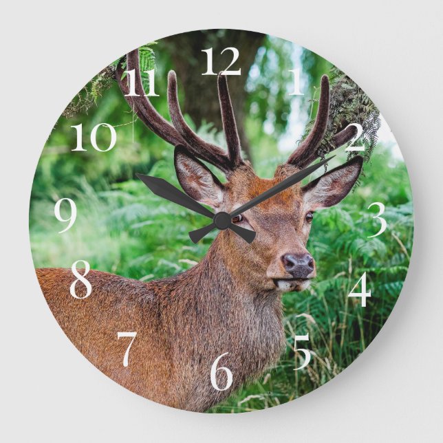 Reloj Redondo Grande Buck Deer (Anverso)