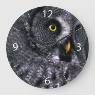 Reloj Redondo Grande Búho Gris Grande