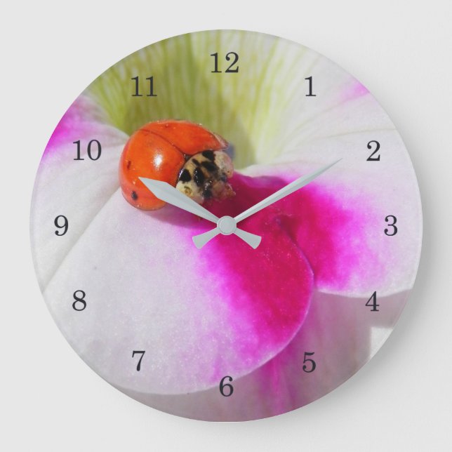 Reloj Redondo Grande Buitre en la petunia (Anverso)