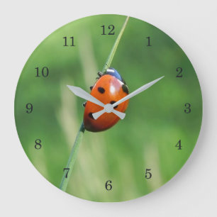 Reloj Redondo Grande Buitre en un pedazo de hierba