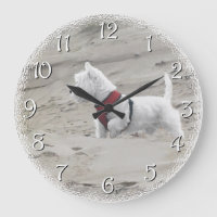 Búsqueda en las dunas