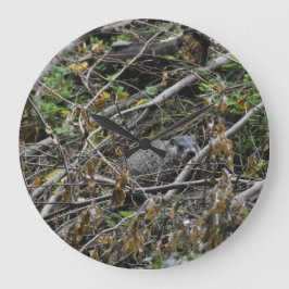 Reloj Redondo Grande Busy Beaver