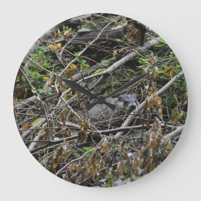 Reloj Redondo Grande Busy Beaver (Anverso)