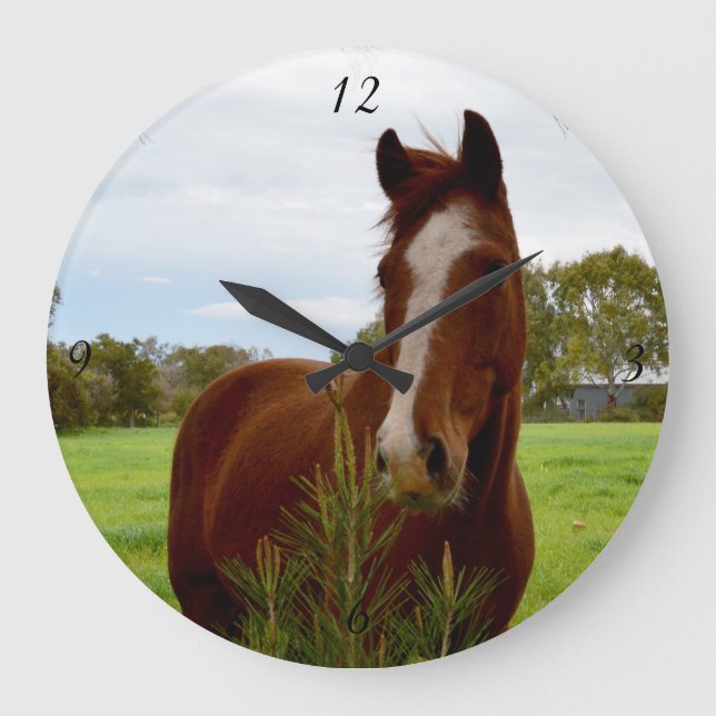Reloj Redondo Grande Caballo De Castaño Aniquilando Un Árbol De Banksia (Anverso)