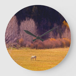 Reloj Redondo Grande Caballo en la caída I