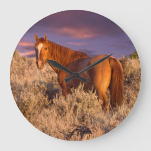 Reloj Redondo Grande Caballo salvaje del condado de Harney permanece al