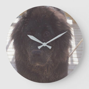 Reloj Redondo Grande Cachorro embarrado de Terranova