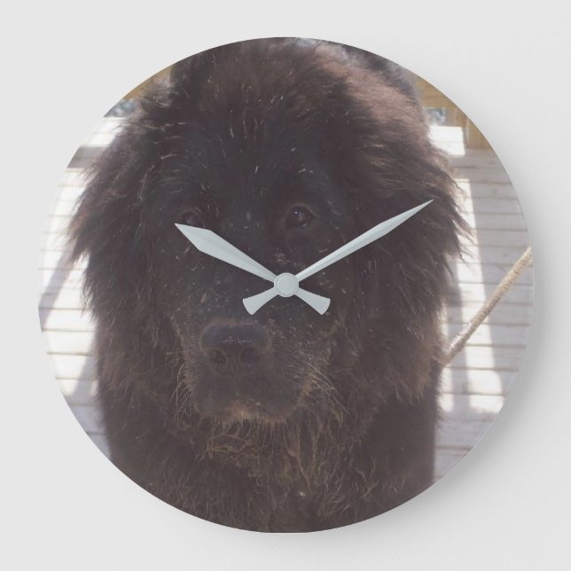 Reloj Redondo Grande Cachorro embarrado de Terranova (Anverso)