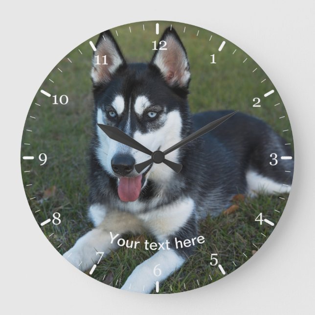 Reloj Redondo Grande cachorro Husky siberiano (Anverso)