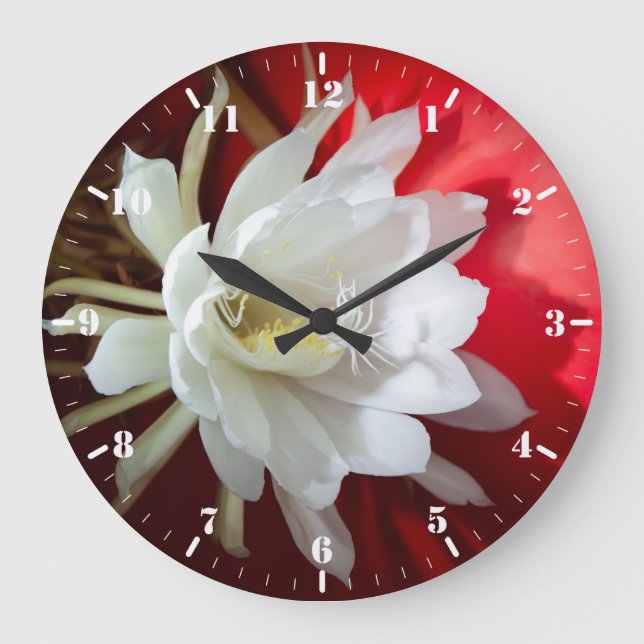 Reloj Redondo Grande Cactus blanco floreciente (Anverso)