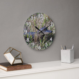 Reloj Redondo Grande Caimán Bebé Vida Silvestre Florida Naturaleza