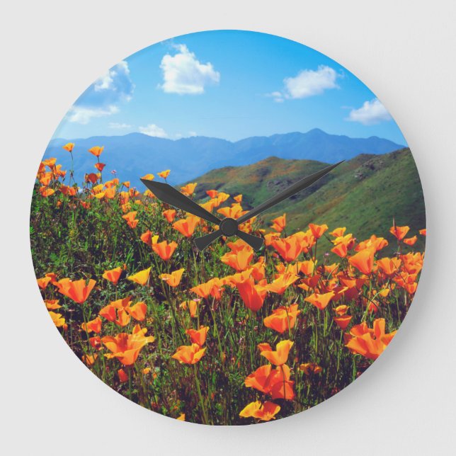 Reloj Redondo Grande California poppies covering a hillside (Anverso)