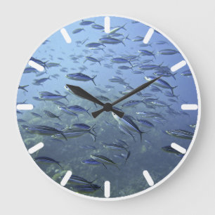 Reloj Redondo Grande Calzado de peces. Submarinismo.