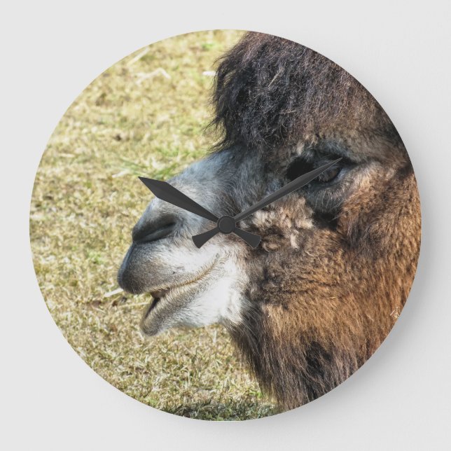 RELOJ REDONDO GRANDE CAMELLOS (Anverso)