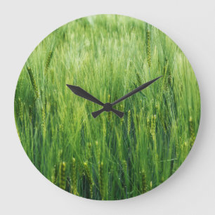 Reloj Redondo Grande Campo de cebada verde, cierre de primavera.