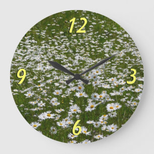 Reloj Redondo Grande Campo de flores silvestres de Daisies Alaskan