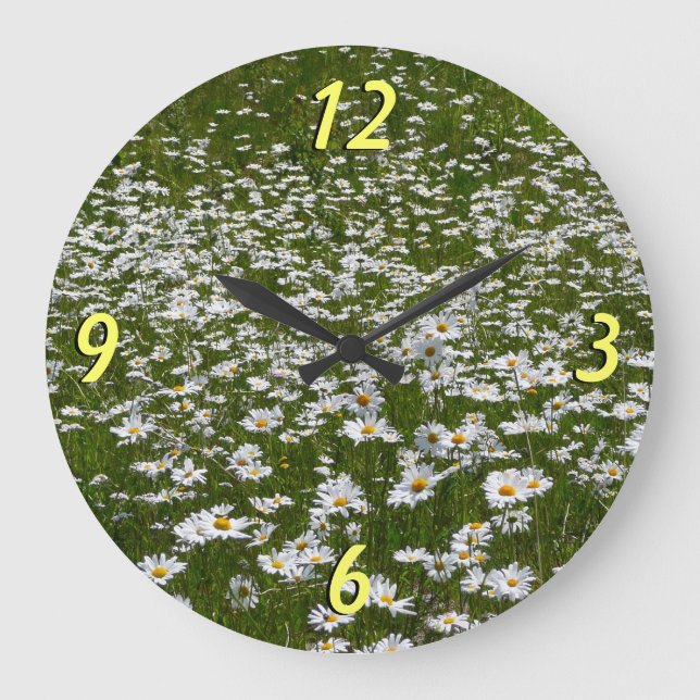 Reloj Redondo Grande Campo de flores silvestres de Daisies Alaskan (Anverso)