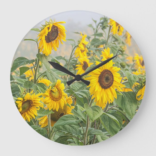 Reloj Redondo Grande Campo de girasol Amarillo Verde Hermosa Flora (Anverso)
