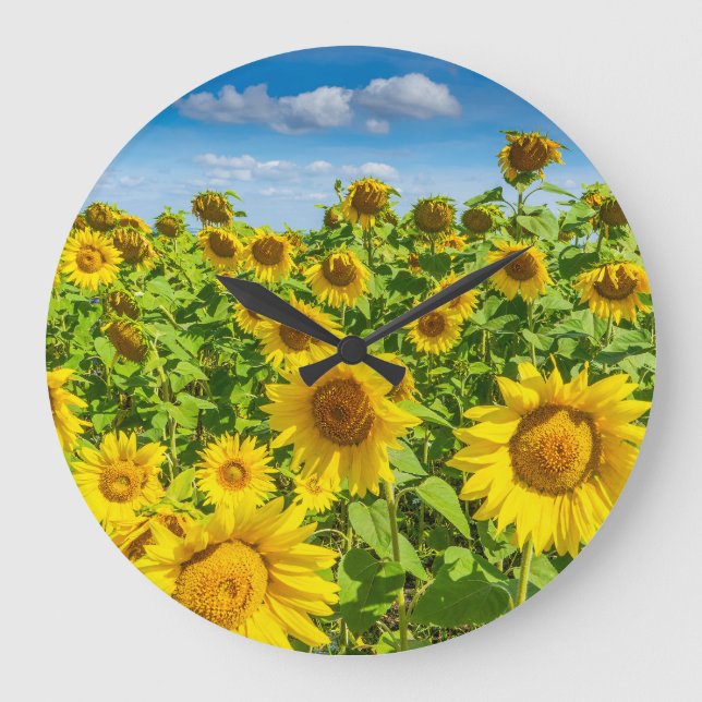 Reloj Redondo Grande Campo de girasoles, día soleado de verano. (Anverso)
