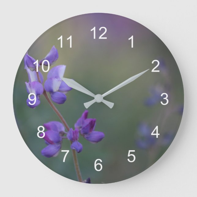 Reloj Redondo Grande Campo de Lupine (Anverso)