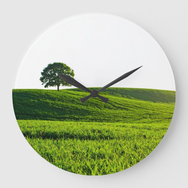 Reloj Redondo Grande campo verde (Anverso)