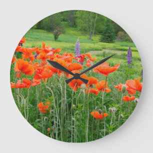 Reloj Redondo Grande Canadá, Nueva Brunswick, . Paisaje