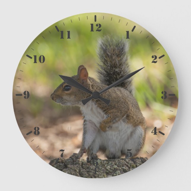 Reloj Redondo Grande Candidato salvaje (Anverso)