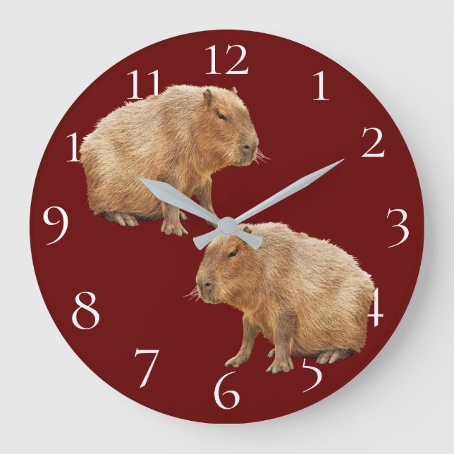 Reloj Redondo Grande Capybara (Anverso)