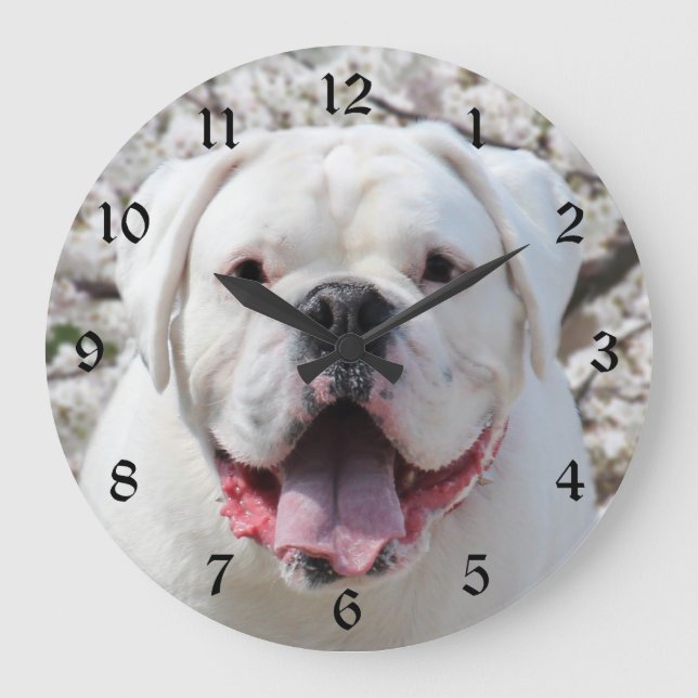 Reloj Redondo Grande Cara de bulldog blanco (Anverso)