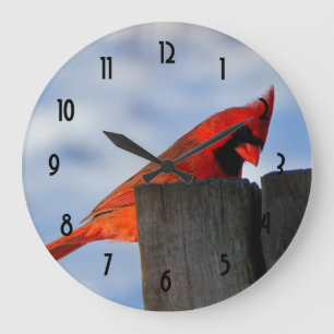 Reloj Redondo Grande Cardenal rojo sobre trozos de madera