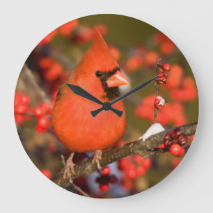Reloj Redondo Grande Cardenal septentrional en Winterberry común