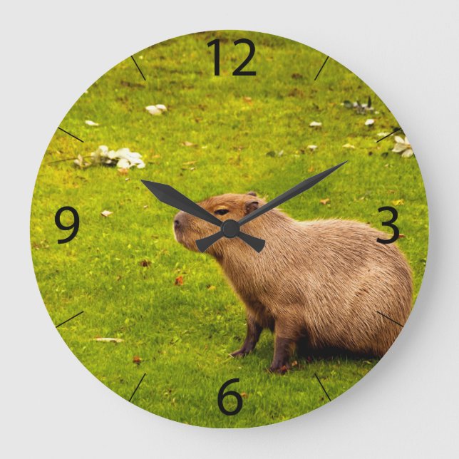 Reloj Redondo Grande Carpincho (Anverso)