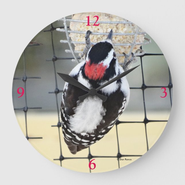 Reloj Redondo Grande Carpintero Cabecipardo B53 (Anverso)