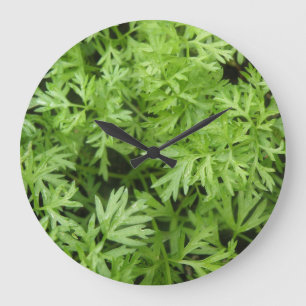 Reloj Redondo Grande Carrot Tops Wall Clock