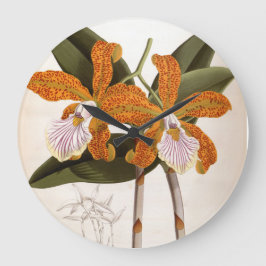 Reloj Redondo Grande Cattleya Velutina Vintage Lindenia Orchid
