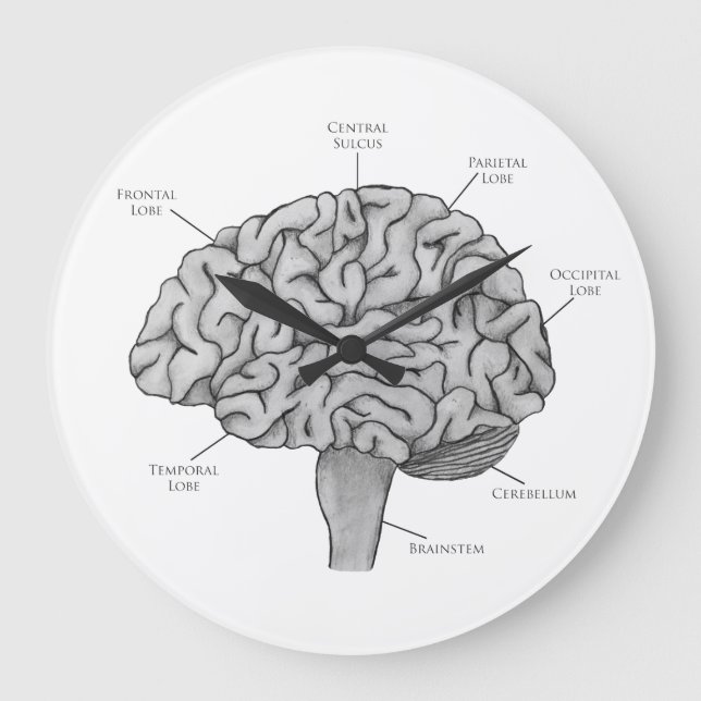 Reloj Redondo Grande Cerebro científico (Anverso)